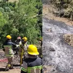Incendio Alto Biobío, Municipalidad de Alto Biobío