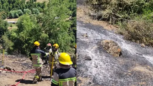 Choque de tendido eléctrico provocó incendio en Alto Biobío: Fuego consumió 5.000 m²