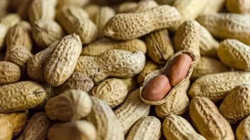 La ciencia da un paso decisivo para erradicar las alergias alimentarias con el primer maní editado