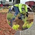 Continúan las obras de ornamentación en La Vega de Los Ángeles, Diario La Tribuna