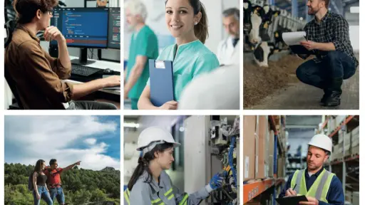 Admisión 2026: qué carreras técnicas se pueden estudiar en Los Ángeles y Nacimiento