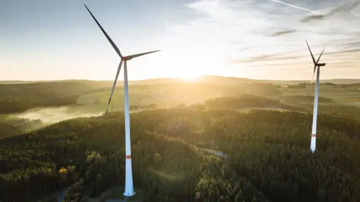 Con inversión de US$ 625 millones: Arauco impulsa megaproyecto eólico entre Quilleco y Los Ángeles