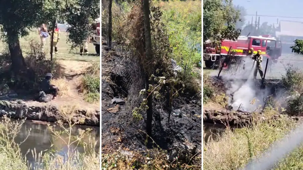 Hombre en situación de calle habría provocado incendio de pastizales en Los Ángeles, Diario La Tribuna