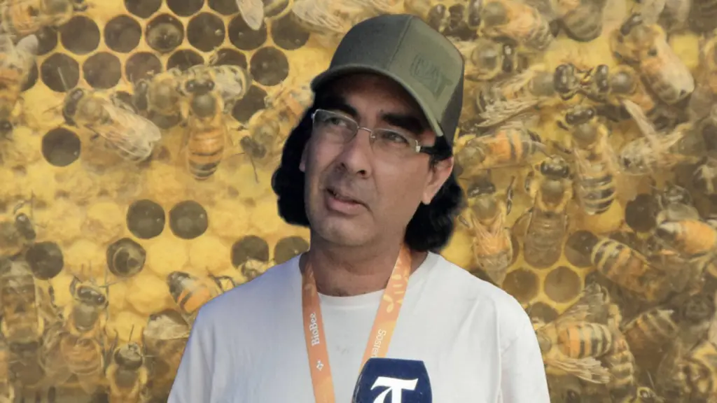 Apicultor de Quilleco , Diario La Tribuna