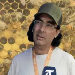 Apicultor de Quilleco , Diario La Tribuna