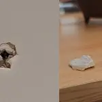 Reportes de balazos, Cedida