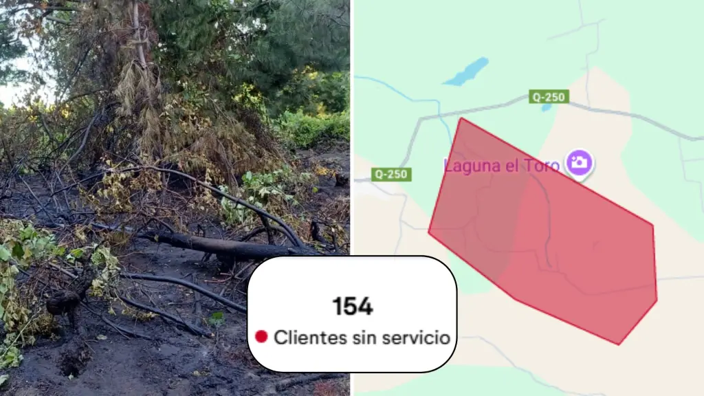 Caída de árbol provocó corte eléctrico e incendio de pastizales en Laja , Diario La Tribuna