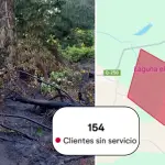 Caída de árbol provocó corte eléctrico e incendio de pastizales en Laja , Diario La Tribuna