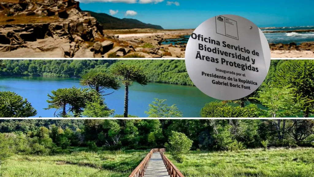 Servicio de Biodiversidad y Áreas Protegidas conforma primera mesa regional para su puesta en marcha , Diario La Tribuna