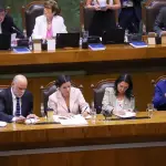 Senado durante aprobación de la ley de incendios, referencial