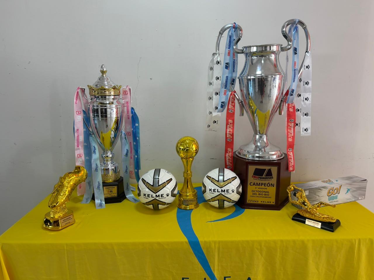 Los trofeos en disputa en el Octagonal del Biobío / La Tribuna