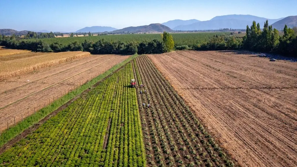 El sector agrícola es el segundo rubro con mayor importancia económica, solo después del cobre. Por ello, gremios llaman a destrabar su desarrollo.