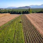 El sector agrícola es el segundo rubro con mayor importancia económica, solo después del cobre. Por ello, gremios llaman a destrabar su desarrollo.