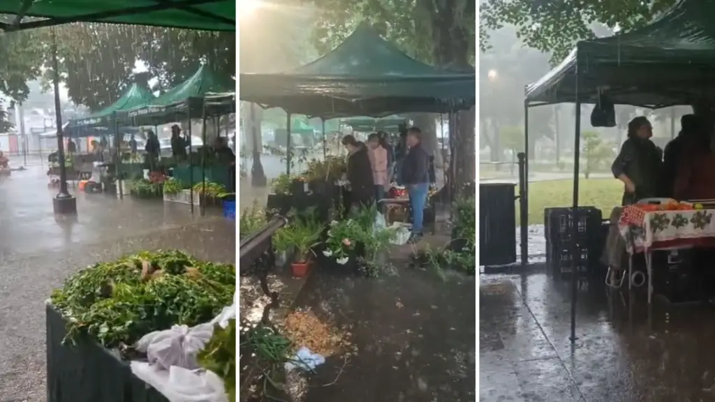 Plaza Pinto - Tormenta eléctrica, Diario La Tribuna