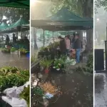 Plaza Pinto - Tormenta eléctrica, Diario La Tribuna