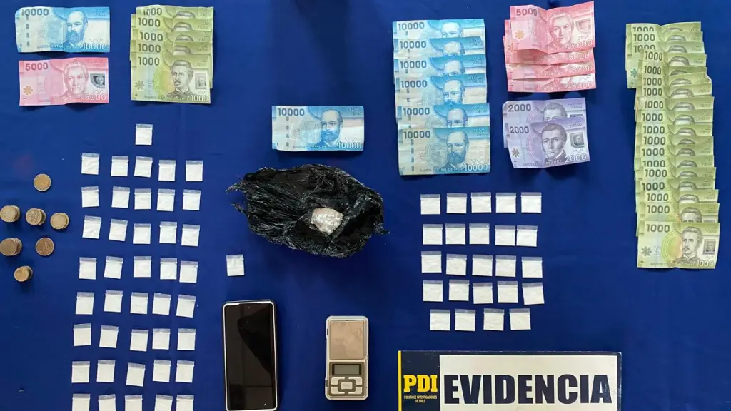 Especies incautadas por la PDI en Victoria, PDI Araucanía