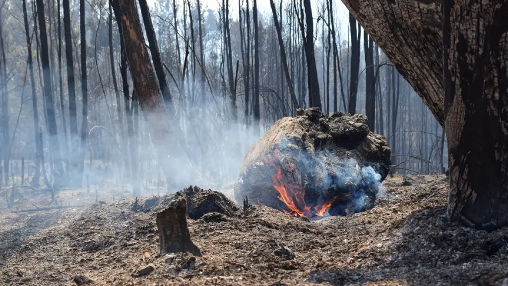 Incendios 2023, Archivo La Tribuna
