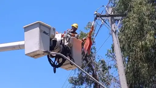 Distribuidora eléctrica implementa medidas para apoyar a víctimas de incendios forestales en Biobío