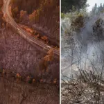 Gremios forestales alertan sobre efectos en el empleo y abastecimiento tras megaincendios forestales, Diario La Tribuna