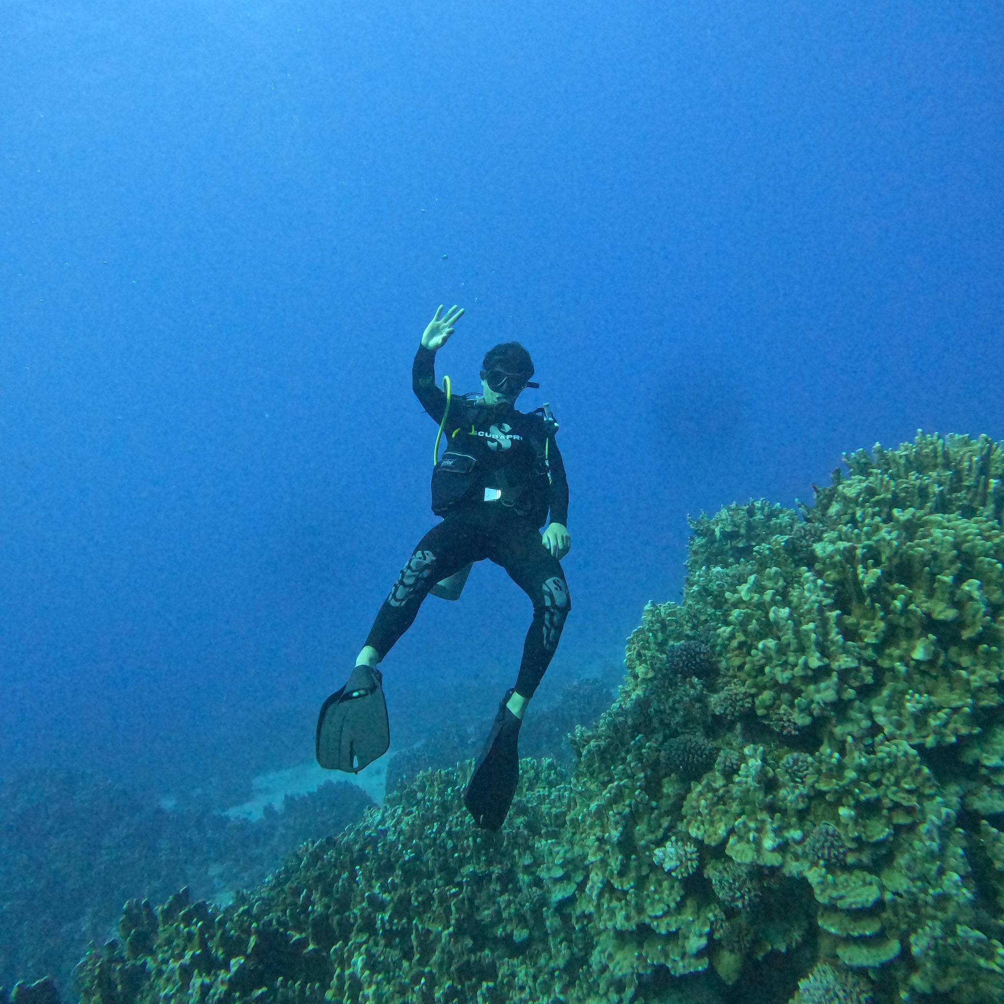 Julio Alexander Alfaro / Facebook