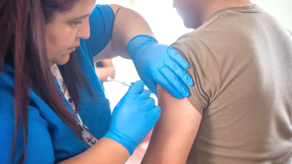 Las vacunas dispuestas en el extra-muro corresponden a la antitetánica y a la vacunación anti hepatitis A. , Seremi de Salud Biobío