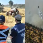 Restringen faenas agrícolas y forestales en el Biobío por alto riesgo de incendios, Diario La Tribuna