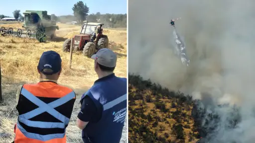 Restringen faenas agrícolas y forestales en el Biobío por alto riesgo de incendios
