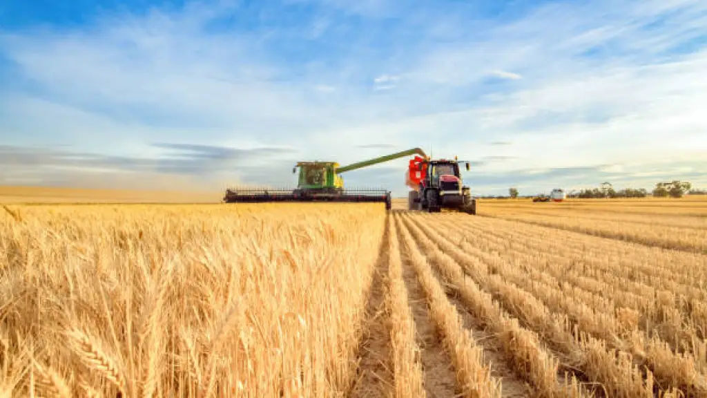 Solo por hoy Jedena autorizó cosechas agrícolas en Biobio, referencial