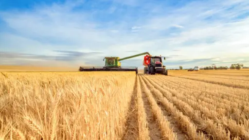 Autorizan faenas agrícolas solo por este martes en la región del Biobío