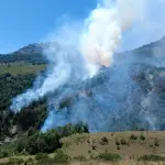Continúa en combate el incendio forestal de Curamallín en Alto Biobío, Municipalidad de Alto Biobío