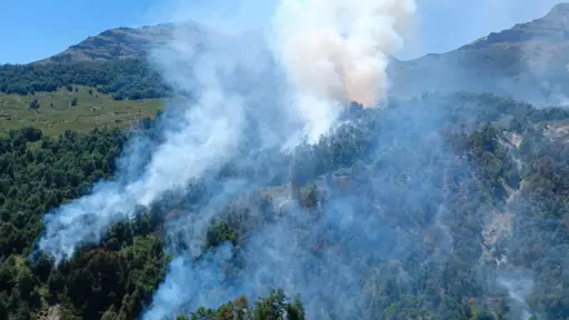 FOTO:Incendio forestal Curamallín continúa activo en Alto Biobío: refuerzan labores de contención