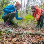Las labores de restauración ecológica son determinantes para recuperar la biodiversidad y mitigar la vulnerabilidad de los ecosistemas.