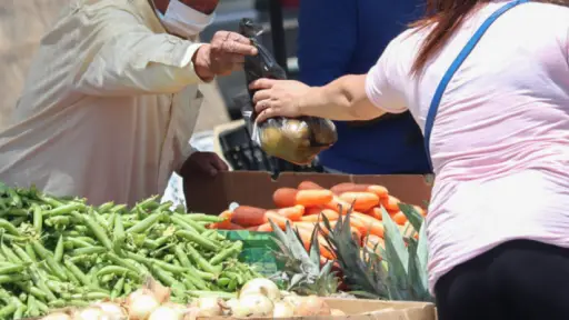 Hortaliceros llaman a cambiar la Ley de Riego para facilitar la inversión en predios arrendados