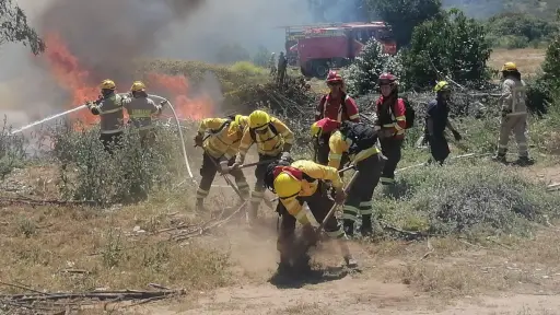 Corma solicita autorización para aplicar quemas controladas en zonas de alto riesgo en Biobío