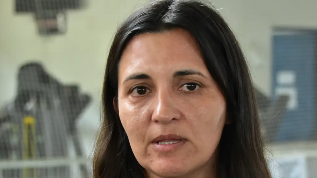 La autoridad destacó el apoyo de México y Uruguay para reforzar el combate al fuego en la macrozona sur, mientras los equipos técnicos despliegan en paralelo el catastro de daños agrícolas en las zonas rurales.