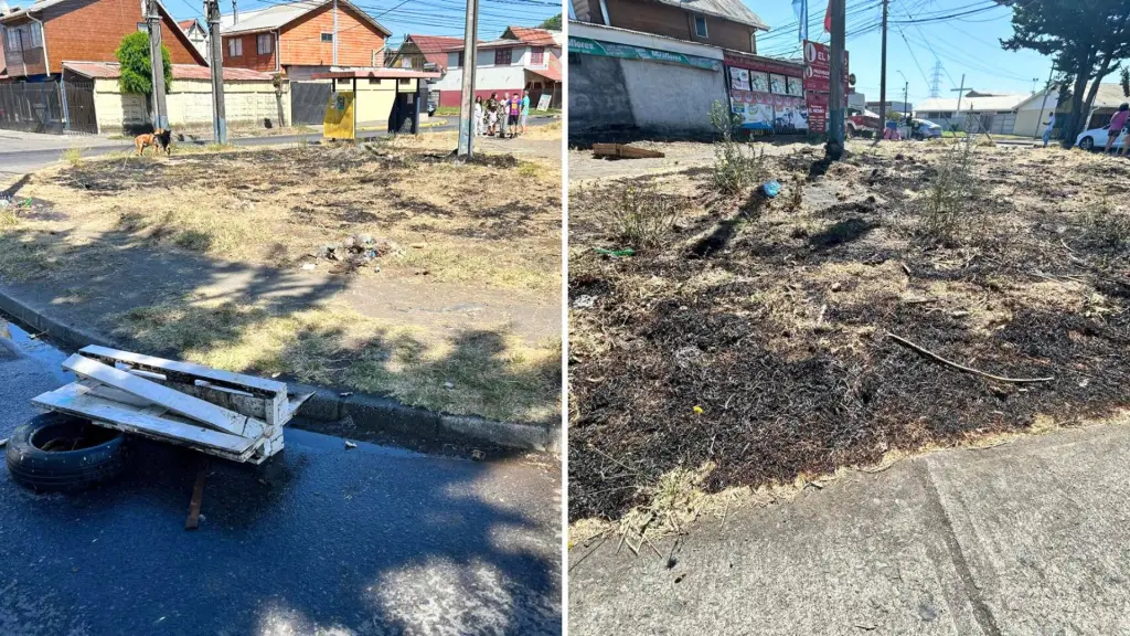 Personal de Carabineros de la SIP concurrió al sector Lagunillas de Coronel tras una denuncia ciudadana, logrando la detención del individuo involucrado en el inicio del fuego., @CarabBioBio