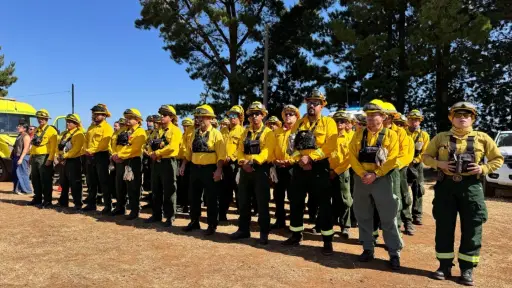Contienen incendio en Laja y continúan esfuerzos para frenar siniestros en La Araucanía