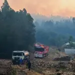 Cámara Chilena de la Construcción irá en ayuda de afectados por incendios forestales, Agencia ATON
