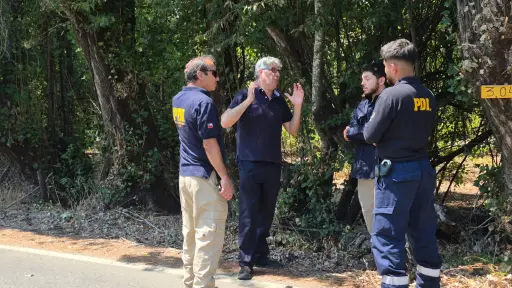 Incendio que arrasó 1.500 hectáreas en Quillón habría comenzado por caída de árbol sobre cables eléctricos