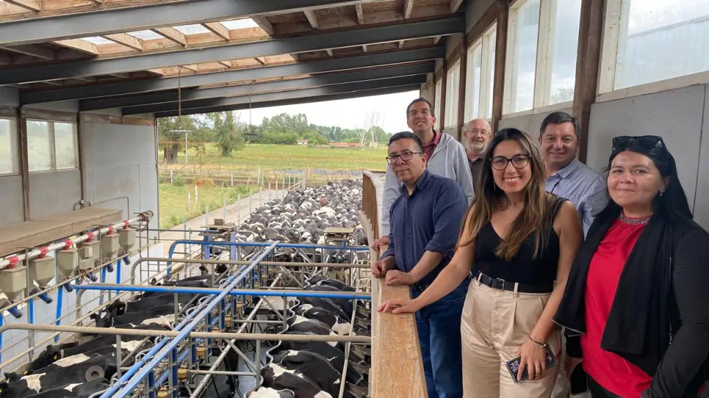 La instancia está conformada por nueve investigadores que trabajan en la generación de evidencia científica sobre el impacto de los lácteos en la salud de la población chilena.