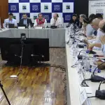 Gore Biobío aprobó 35 mil millones de pesos para enfrentar efectos de los incendios forestales, Gore Biobio