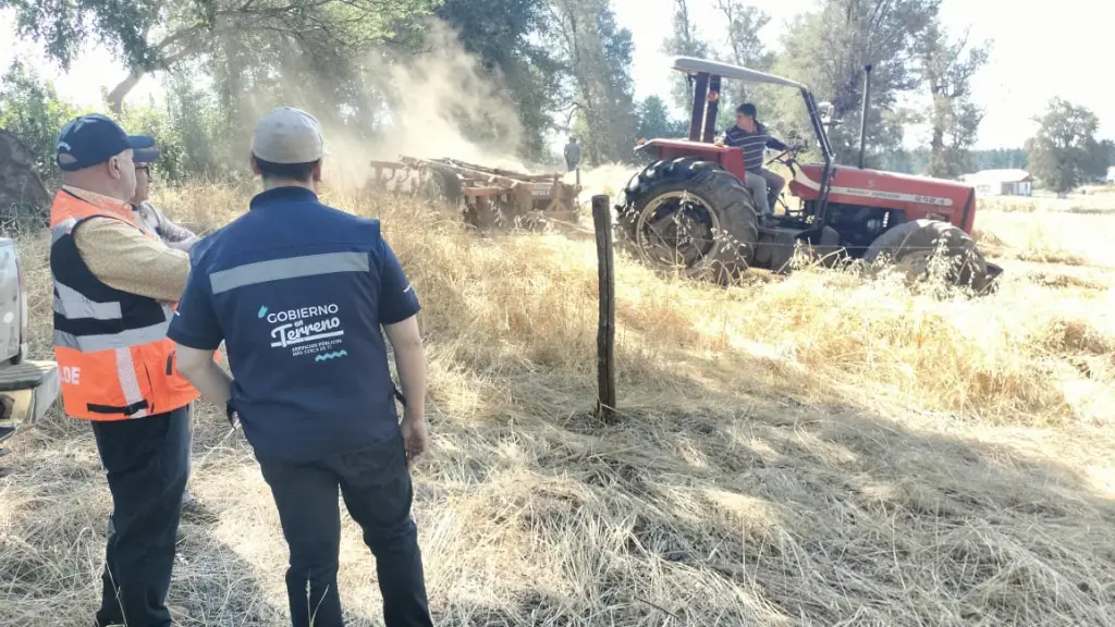 Gobierno ha intensificado las regulaciones e inspecciones en trabajos de cosecha., DPP Biobío