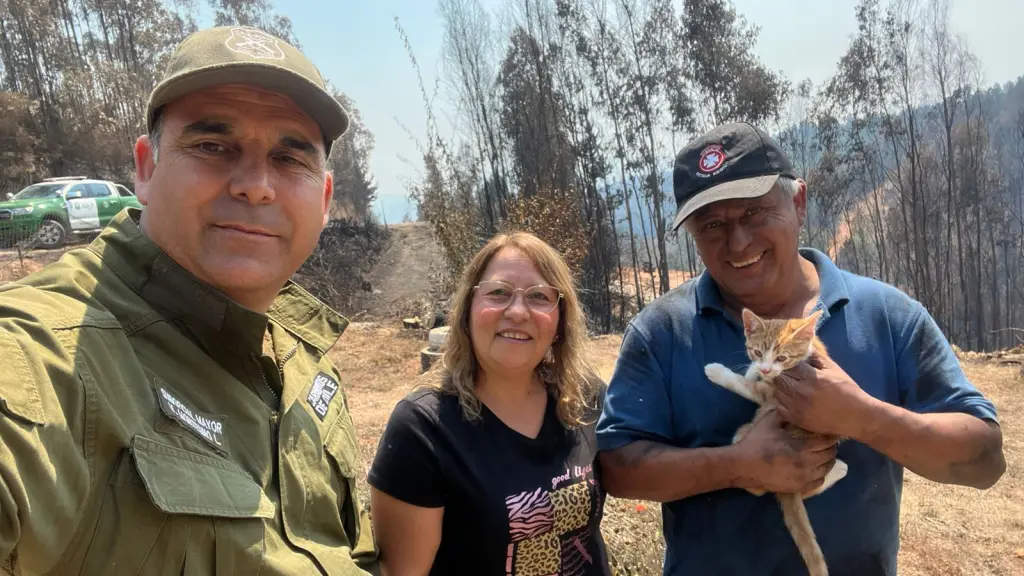 El gatito fue finalmente entregado a sus dueños, Carabineros de Chile