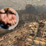 El imputado será presentado este viernes 23 de enero ante el Juzgado de Garantía de Concepción para el respectivo control de detención., contexto