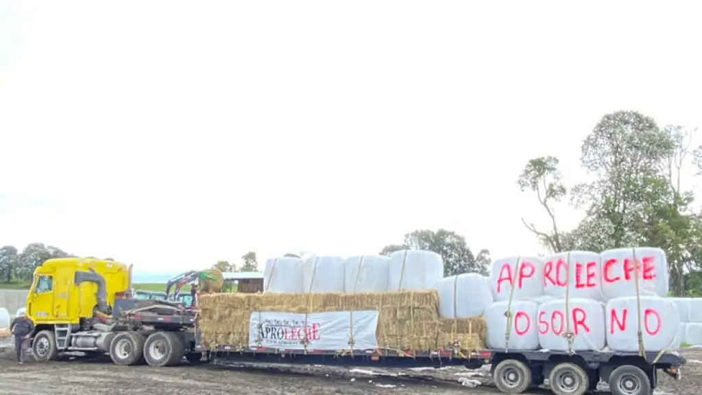 Socabio coordina la distribución del forraje enviado desde Osorno por agricultores, en beneficio de los ganaderos de Laja y Los Ángeles.