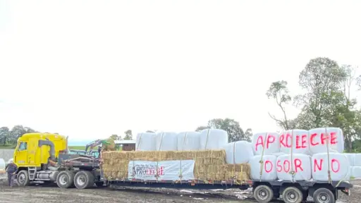 Socabio exige apoyos económicos al Estado y apunta a intencionalidad tras incendios en Biobío
