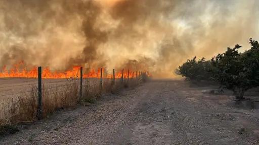 Organizaciones exigen aprobar Ley de Prevención de Incendios Forestales tras catástrofe