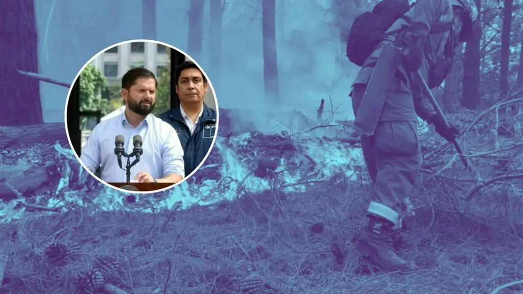 “Sabemos que esta tragedia no sólo afecta a las personas, sino también a los animales, y por eso estamos abordando el problema de manera integral”, concluyó el Presidente., Captura de video