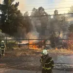 Emergencia en combate, Diario La Tribuna