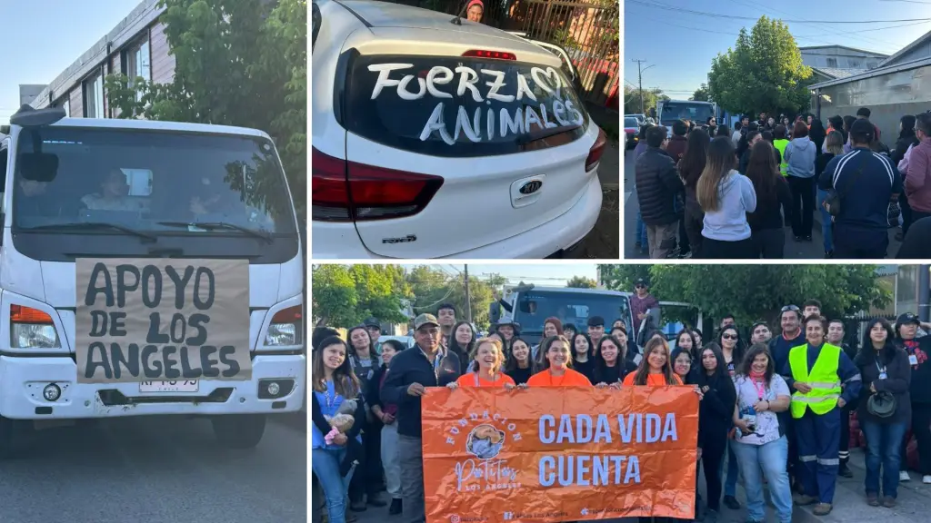 Caravana solidaria partió desde Los Ángeles en apoyo a zonas afectadas por incendios en Concepción y Ñuble, Diario La Tribuna
